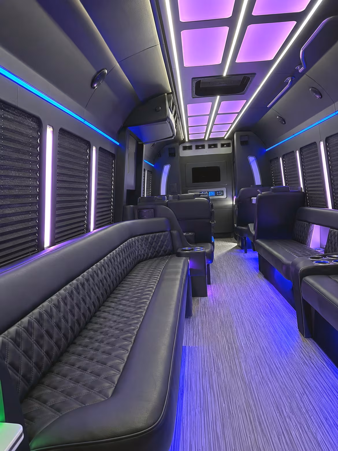 birthday party bus rental